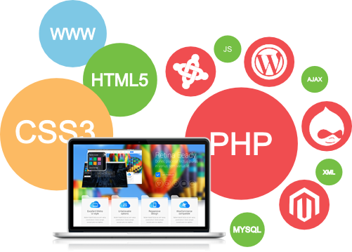 Terms of Reference Web Programming Trainer   