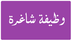 Computer Technology Program (CTP) Curriculum Development(CD) Consultant .